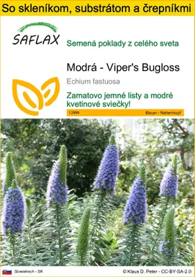 Obrázok produktu pre SAFLAX Kultivačný set - Modrá - Viper's Bugloss - Echium fastuosa - 100 Semená - S mini skleníkom, pestovateľským substrátom a 2 črepníkmi