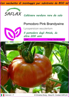 Immagine prodotto di SAFLAX Garden in the bag - Pomodoro Pink Brandywine - 10 semi - Lycopersicon