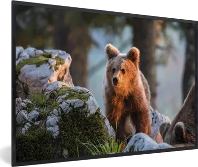 Produktbild von MuchoWow® MuchoWow® Gerahmtes Poster Bär - Braun - Tier 30x20 cm - Poster mit zchwarzem Bilderrahmen - Kunstdruck - Bild-Poster
