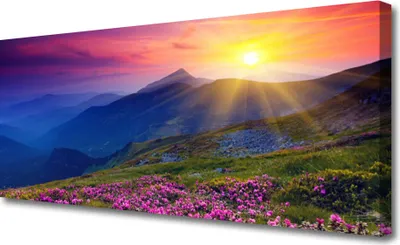 Produktbild von Tulup Leinwand-Bilder 125x50 Wandbild Canvas Kunstdruck Gebirge Blume Wiese Landschaft