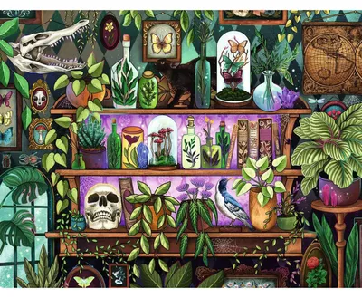 Immagine prodotto di 2000 piece puzzle. Ages 14+. Witchy trinkets and items. Premium quality puzzles  Europe. Plants. 12001416