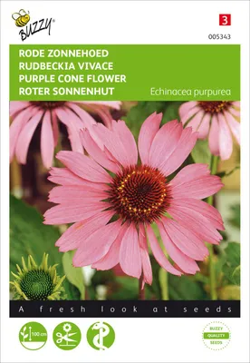 Produktbild von Roter Sonnenhut | Sonnenhutsamen von Buzzy Seeds
