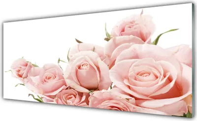 Produktbild von Glasbilder 125x50 Wandbild Druck auf Glas Rosen Pflanzen