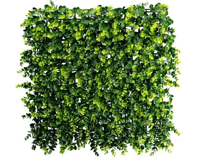 Produktbild von Künstliche Pflanzenwand Eukalyptus 50 x 50 cm