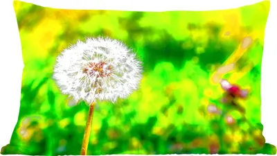Produktbild von MuchoWow® Zierkissen Sofakissen Wohnzimmer Dekokissen 60x40 cm Löwenzahn - Gras - Blume - Kopfkissen - Polster mit Foto
