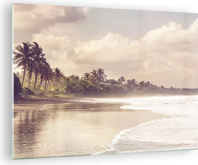 Produktbild von Bilder auf glas - Einteilig - Palmen Strand Wasser - 70x50cm - Glasbilder - Wandbilder - Bilder - zum Aufhängen bereit - Wanddekoration aus Glas - Glas Bilder - Wandbild auf Glas - GAA70x50-4917