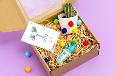 Obrázok produktu pre Gardners Darčeková súprava pre deti "Vyrob si bambuľku"