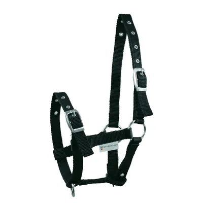 Image de Waldhausen Licol pour poulain Triple
