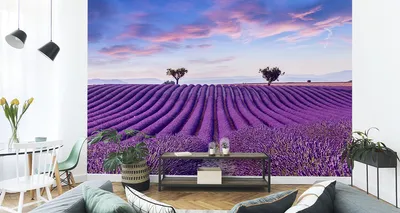 Immagine prodotto di Carta da parati in tessuto non tessuto murale paesaggio incantevole campo di lavanda 360 cm (L) x 240 cm (H) murale decorazione murale