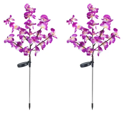 Obrázek produktu pro Maximex Solar LED zahradní svítidla Orchidee, sada 2 ks, teplé žluté LED diody, 2 režimy osvětlení, senzor soumraku, odolné proti povětrnostním vlivům, solární zahradní osvětlení pro záhony a květináče, 20–55 x 75 cm, plast/kov