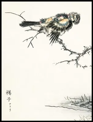 Zdjęcie produktu dla Plakat 60x80cm Brambling, Kashu Japoński Vintage do Salonu