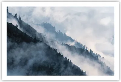 Produktbild von Poster - Poster ohne Rahmen - Berge Nebel Bäume - 91,5x61 cm - Wand Bild - Wanddeko - Wandbilder - Kunstposter - Wandposter - Bilder - Kunstdruck - Wanddekoration - Wandbild - P2XAA91x61-4429