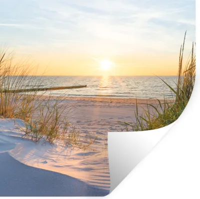 Produktbild von MuchoWow® Wandtattoo Wandsticker Wandaufkleber Strand - Sonne - Düne - Gras - Sand - Horizont 80x80 cm Selbstklebend und Repositionierbar - Wierderverwendbar - Selbstklebend