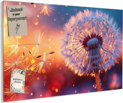 Produktbild von Magnettafel 90x60cm magnetisch & beschreibbar Metall-Board - Pusteblume Sonnenuntergang