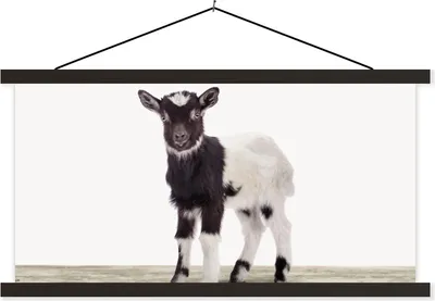 Produktbild von MuchoWow® Textilposter Ziege - Tiere - Kinder - Jungen - Mädchen 90x45 cm mit schwarzem Rahmen - Klemmleisten