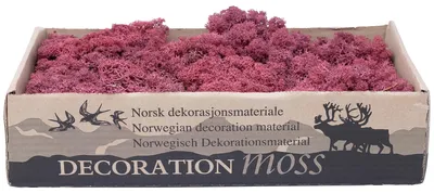 Produktbild von Deko-Moos Rot Bordeaux Islandmoos Rentiermoos Finnlandmoos Basteln Dekorieren 400g
