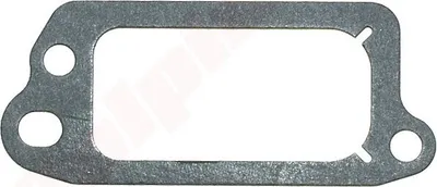 Obrázek produktu pro Těsnění B&S ( 271904 , 272481 , 699833 )