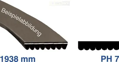 Produktbild von Europart Keilrippenriemen 1938 PH 7 wie Zanussi 5020582000/9 für Trockner