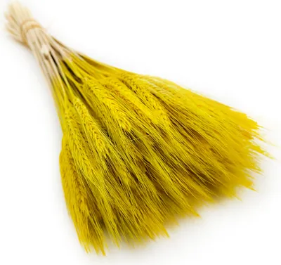 Produktbild von Triticale Getrocknete - Gelb