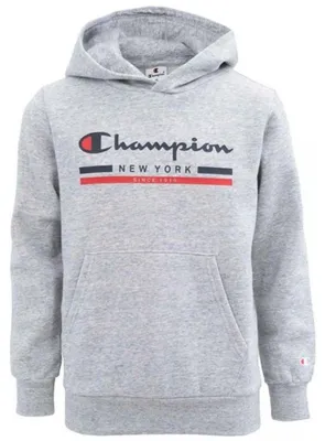 Produktbild von Champion Graphic Logo Fleece Kapuzenpullover Kinder