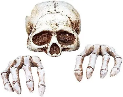 Produktbild von Skelett Gartdendeko - Horror Halloween deko