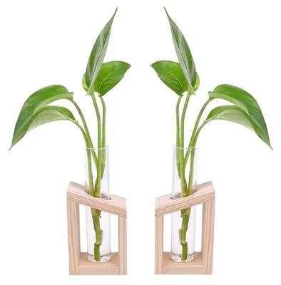 Productafbeelding van Set van 2 Houten Testbuis Vazen met Houten Frame