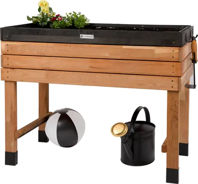 A raised garden bed with plants, a beach ball, and a watering can.