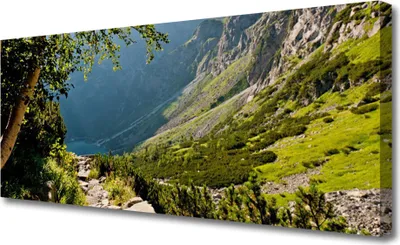 Produktbild von Tulup Leinwand-Bilder 125x50 Wandbild Canvas Kunstdruck Gebirge Wald Natur