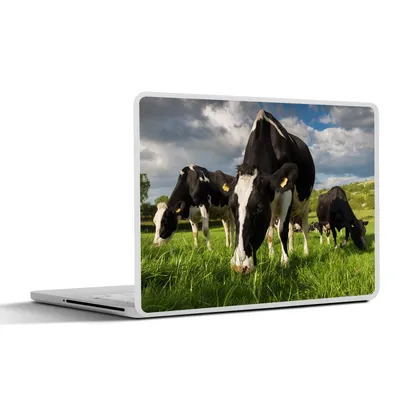 Produktbild von MuchoWow® Laptop Aufkleber Sticker Cover Kühe - Tiere - Gras - Wiese - Bauernhof 36.5x27.5 cm - Laptop-Sticker