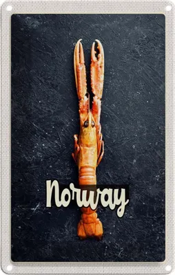 Zdjęcie produktu dla vianmo Blaszany znak 18x12 cm Norwegen Fischgerichte Krabben