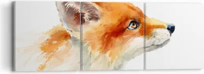 Produktbild von Bild auf Leinwand - Leinwandbild - Fuchs Tier Natur - 90x30cm - Wand Bild - Wanddeko - Wandbilder - Leinwanddruck - Bilder - Kunstdruck - Wanddekoration - Leinwand bilder - Wandkunst - CA90x30-3904