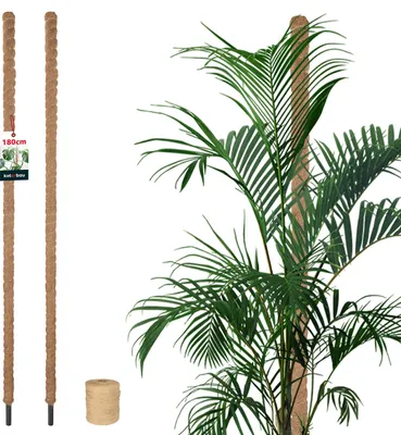 Image de KOTARBAU® 2 pcs Tuteur Plante Tuteur Coco ⌀ 3.2 x 180 cm Fibre de Coco Tuteurs pour Monstera Marron pour Plantes Grimpantes