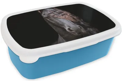Produktbild von KitchenYeah® Lunchbox Brotzeit Brotdose 17x11 cm Pferde - Friesisch - Mähne - Schwarz - Tiere Kinder Brotzeitdose - Lunch - Kunststoff  - Brotbüchse - Sandwichbox - Lunchbox für Kinder