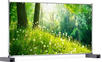 Produktbild von Wallario XXL Outdoor-Poster für Garten oder Balkon, Motiv Pusteblumen im Wald mit einfallenden Sonnenstrahlen, in ca. 340 x 173 cm