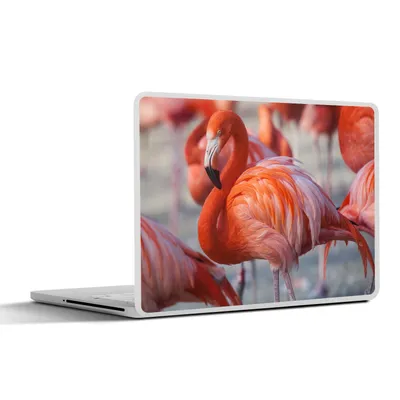 Produktbild von MuchoWow® Laptop Aufkleber Sticker Cover Flamingo - Vogel - Tiere - Rosa 36.5x27.5 cm - Laptop-Sticker