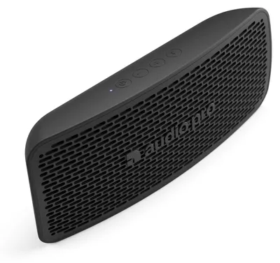 A black portable speaker with a textured grille and control buttons on top.