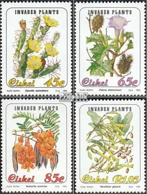 Produktbild von Briefmarken Südafrika - Ciskei 1993 Mi 242-245 (kompl.Ausg.) gestempelt Eingeführte Pflanzen