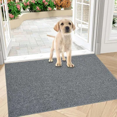 Productafbeelding van Schoonloopmat 60 x 90 cm, grijs, antislip, wasbaar, absorberend
