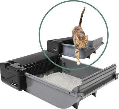 Image de Litière autonettoyante Famanu pour chats, dotée d'une technologie de capteurs intelligente, idéale pour 2 chats