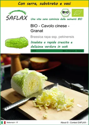 Immagine prodotto di SAFLAX Insieme di coltivazione -- Cavolo cinese - Granat - 40 semi - Brassica