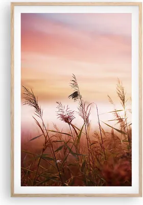 Produktbild von Gerahmtes Poster - Rahmen in heller Eiche - Wiese Getreide Natur - 61x91,5 cm - Wand Bild - Wanddeko - Wandbilder - Wandposter - Bilderrahmen - Bilder - Kunstdruck - Wandbild - P2NPA61x91-3530