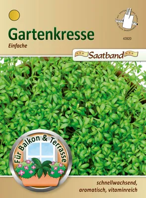 Artikelbild 1 von 'Gartenkresse Einfache (Saatband)' aus der Kategorie Saatbänder & Saatplatten