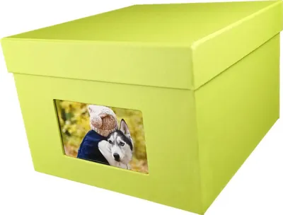 Produktbild von HNFD XL Fotobox „Kandra“ 15 x 20 cm, Maigrün, für 700 Fotos