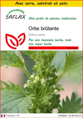 Image de SAFLAX Ensemble de culture - Ortie brûlante - 150 graines - Urtica