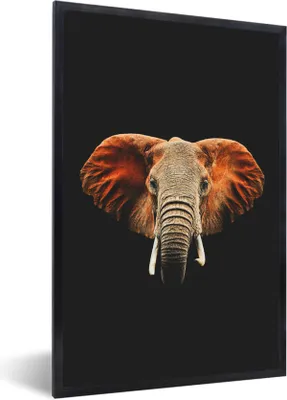 Produktbild von MuchoWow® MuchoWow® Gerahmtes Poster Elefant - Schwarz - Kopf 20x30 cm - Poster mit zchwarzem Bilderrahmen - Drucken - Bilder Poster im Rahmen