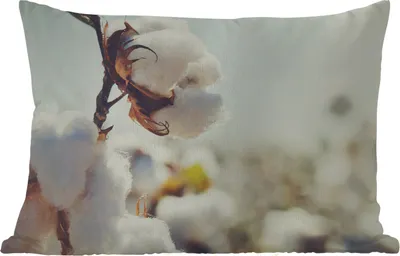 Produktbild von MuchoWow® Outdoor Kissen - Pflanzen - Blume - Zweig - Natur - 60x40 cm - Wetterfest - Lounge Kissen - Zierkissen - Kissen für Innenräume