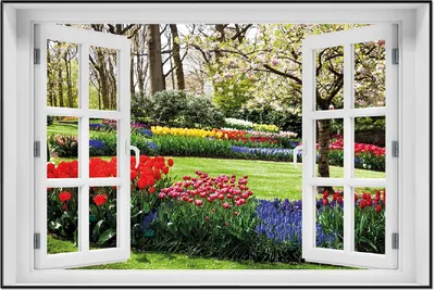 Produktbild von Wallario Wandbild mit Fenster-Illusion: Bunte Blumen und Kirsch-Baum im Park blühen im Frühling, Größe: 61 x 91,5 cm, Poster mit schwarzem Aluminiumrahmen