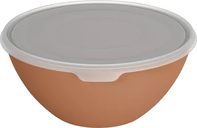 Produktbild von Rotho Schüssel + Deckel Caruba 8 L coral clay