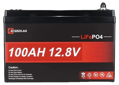 Image de Batterie lithium-ion, capacité de 100 Ah, protection contre les basses températures, 12V 100Ah