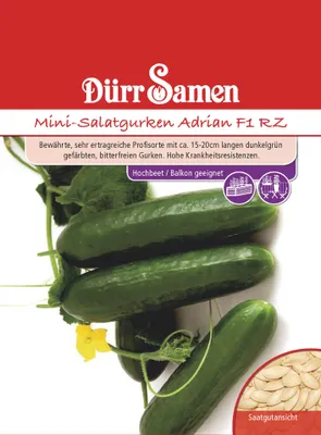 Produktbild von Dürr-Samen - Mini-Gurken Adrian F1 RZ - Saatgut - 1013